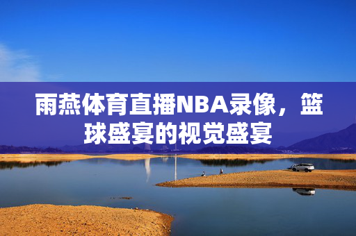 雨燕体育直播NBA录像，篮球盛宴的视觉盛宴