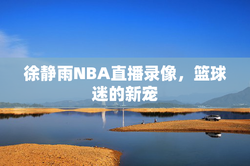 徐静雨NBA直播录像，篮球迷的新宠