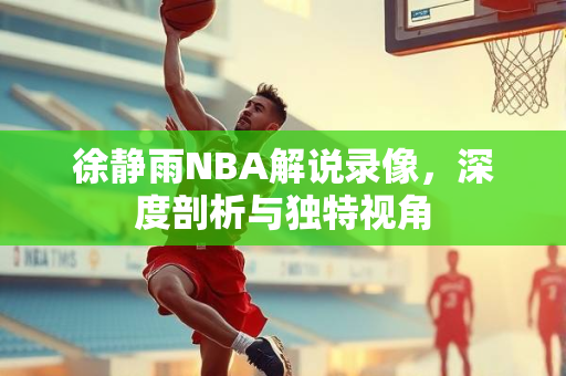 徐静雨NBA解说录像，深度剖析与独特视角