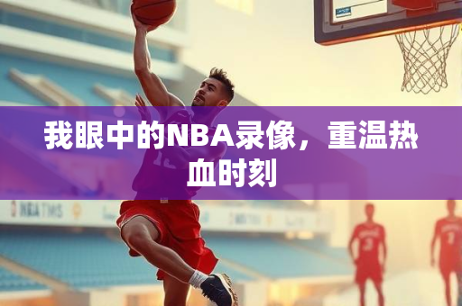 我眼中的NBA录像，重温热血时刻