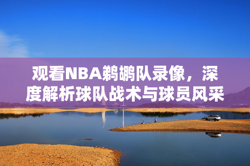 观看NBA鹈鹕队录像，深度解析球队战术与球员风采