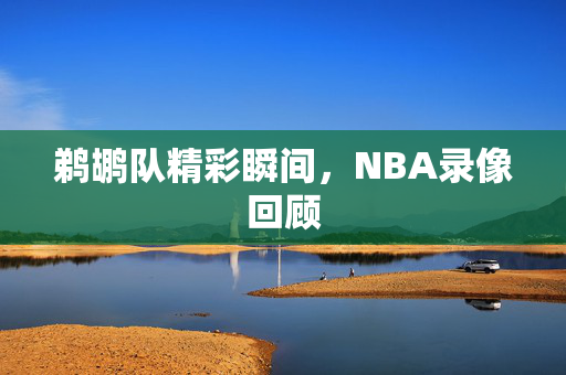 鹈鹕队精彩瞬间，NBA录像回顾