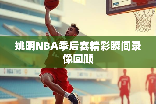 姚明NBA季后赛精彩瞬间录像回顾