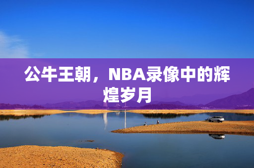 公牛王朝，NBA录像中的辉煌岁月
